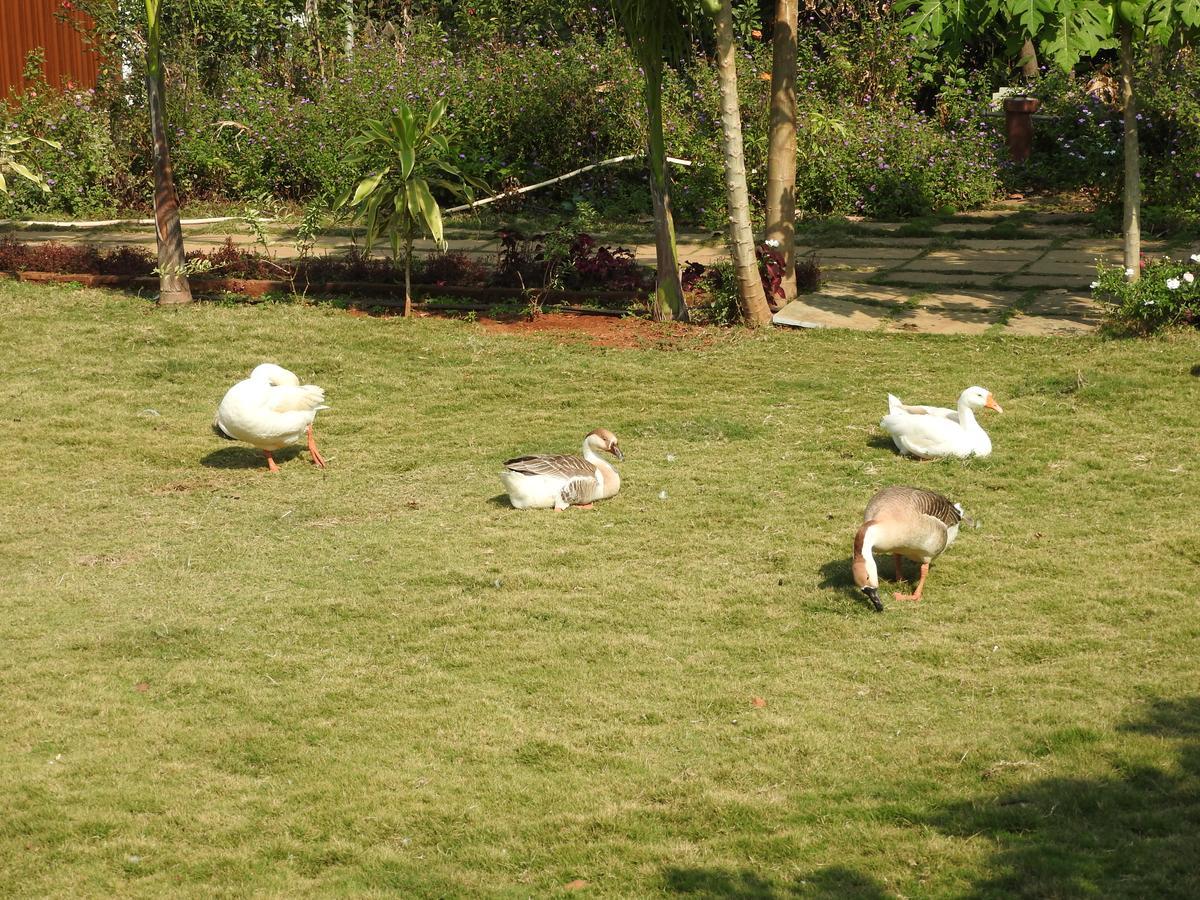 Nature Leap Resort Igatpuri Bagian luar foto