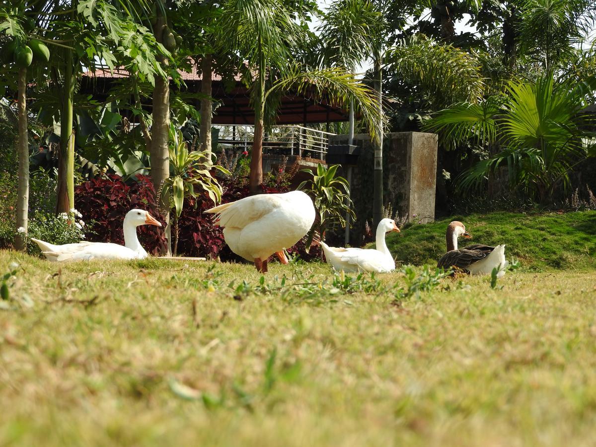 Nature Leap Resort Igatpuri Bagian luar foto