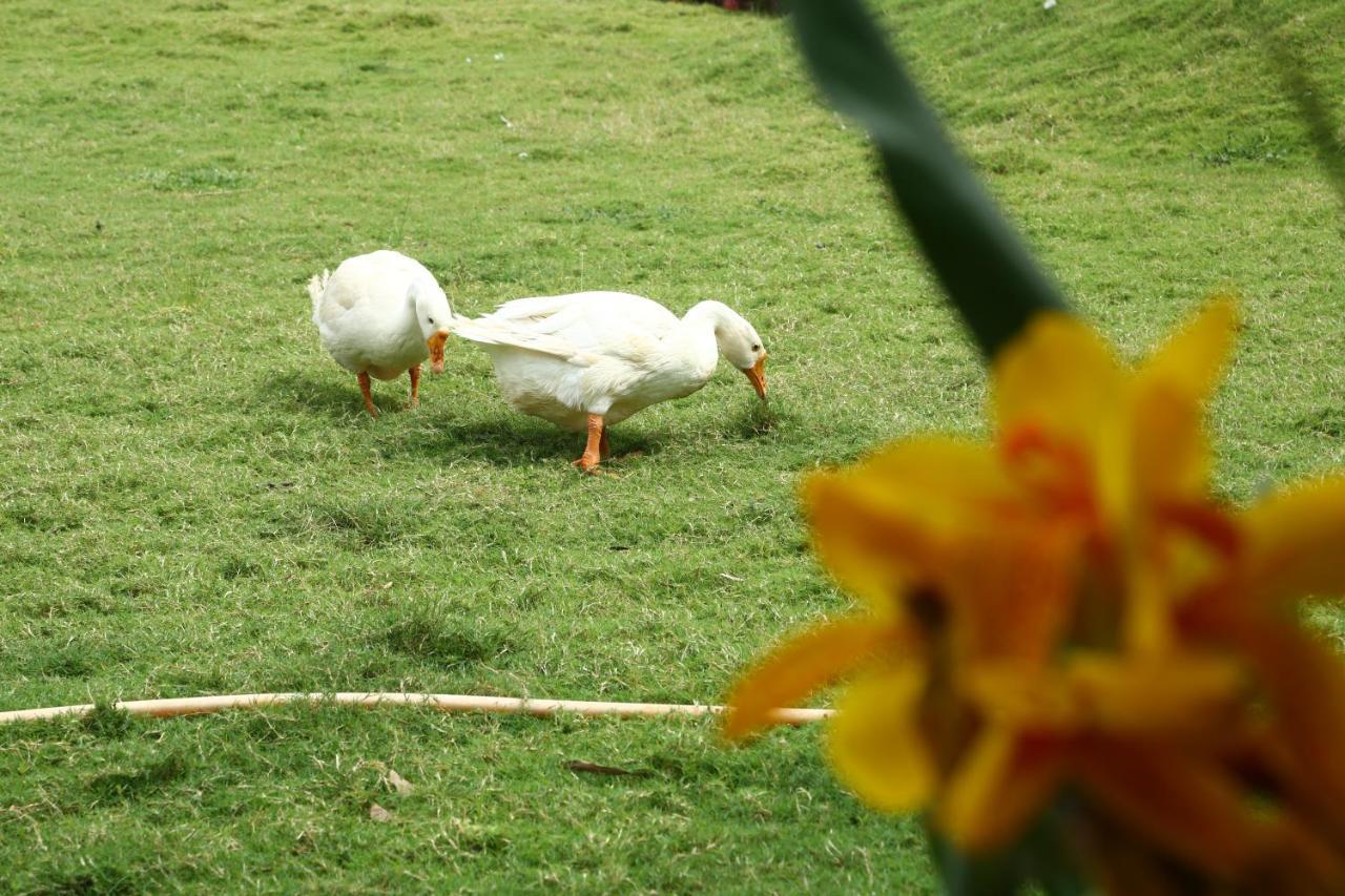 Nature Leap Resort Igatpuri Bagian luar foto